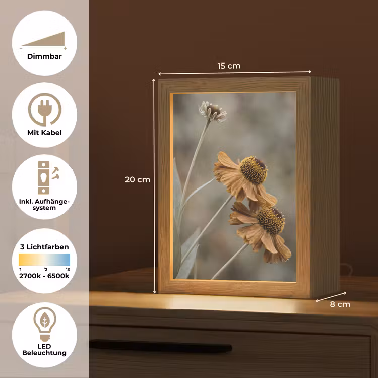 Zonnehoed - Droogbloemen - Geel - Warm Light Box met kabel (Tafellamp) klein -USP_DE