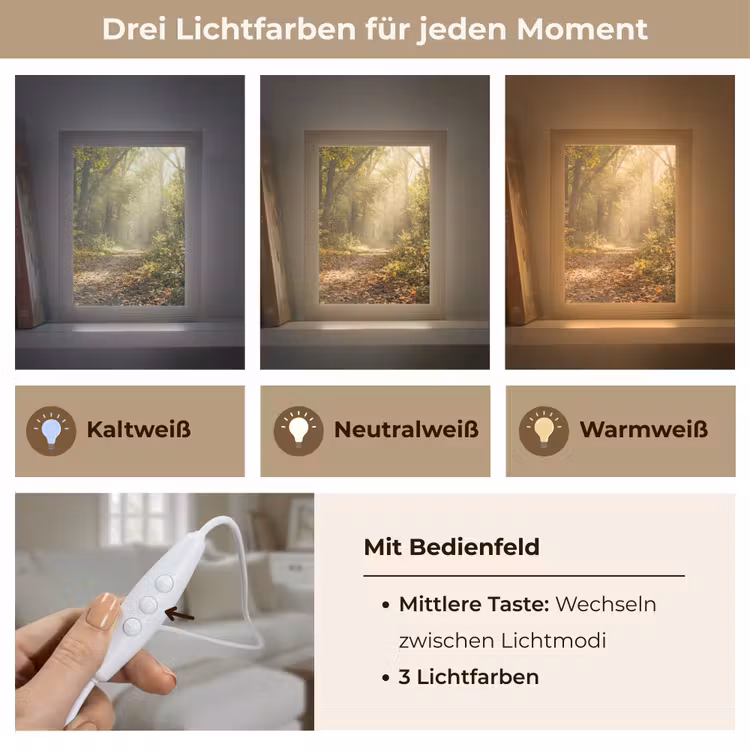 Zonlicht - Bospad - Bomen Light Box met kabel (Tafellamp) klein -USP_lichtkleurDE