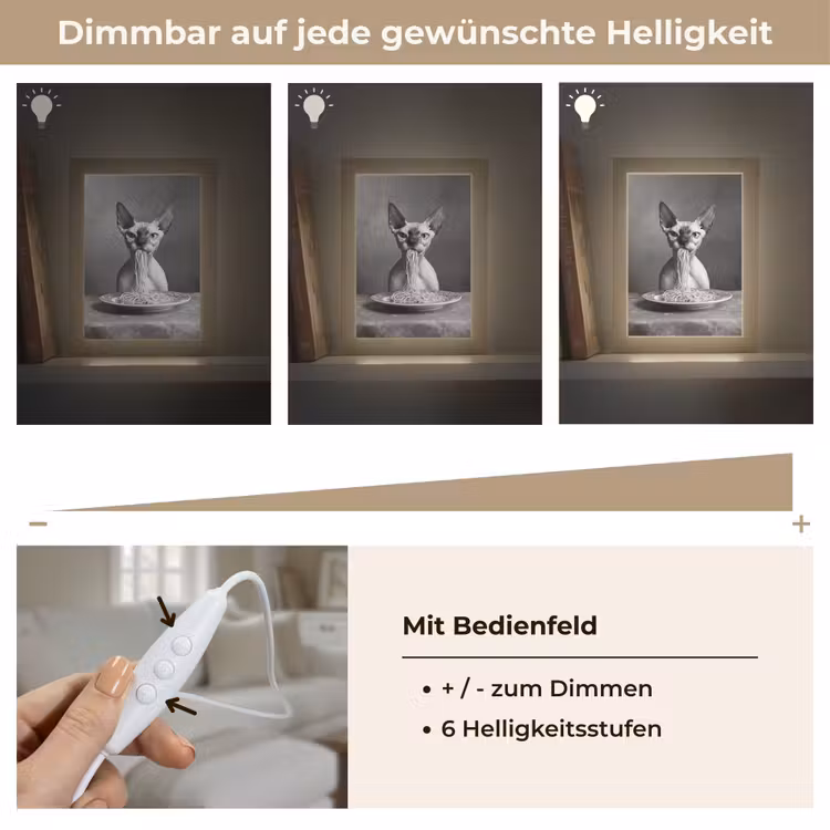 Sphynx - Kat - Dieren - Humor - Spaghetti - Zwart Wit Light Box met kabel (Tafellamp) klein -USP_dimbaarDE