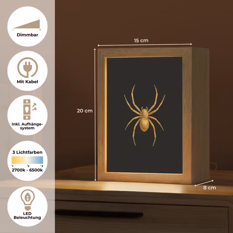 Spin - Goud - Minimalistisch - Poten Light Box met kabel (Tafellamp) klein -USP_DE