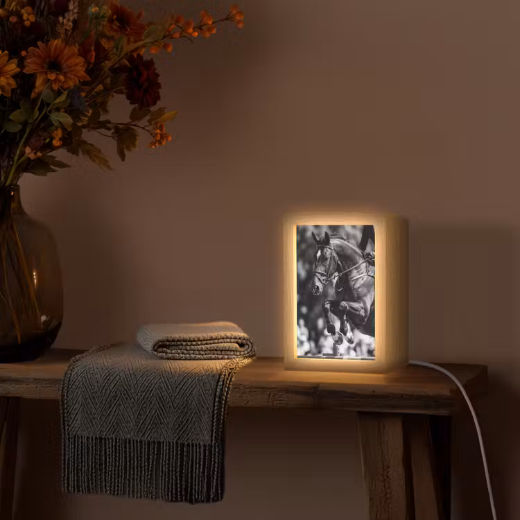 Springen - Paard - Zwart - Wit Light Box met kabel (Tafellamp) klein -sfeer4