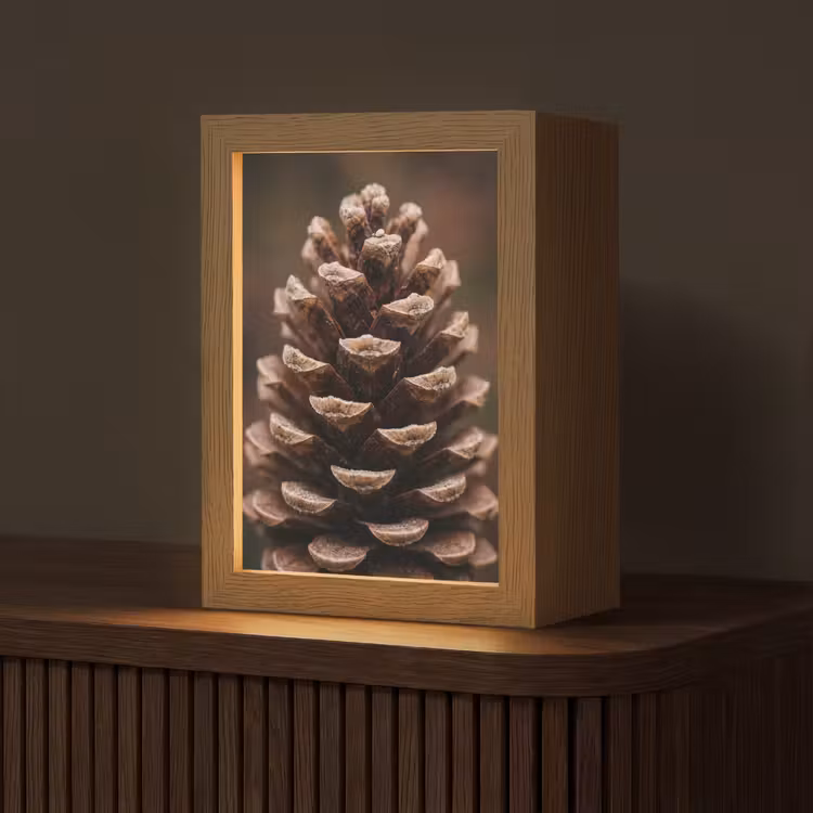 Dennenappel - Bos - Herfst - Bruin - Sfeervol Light Box met kabel (Tafellamp) klein -z3d_website