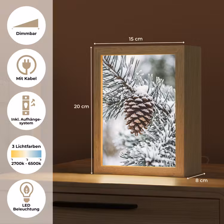Dennenappel - Tak - Sneeuw - Winter - Sfeervol Light Box met kabel (Tafellamp) klein -USP_DE