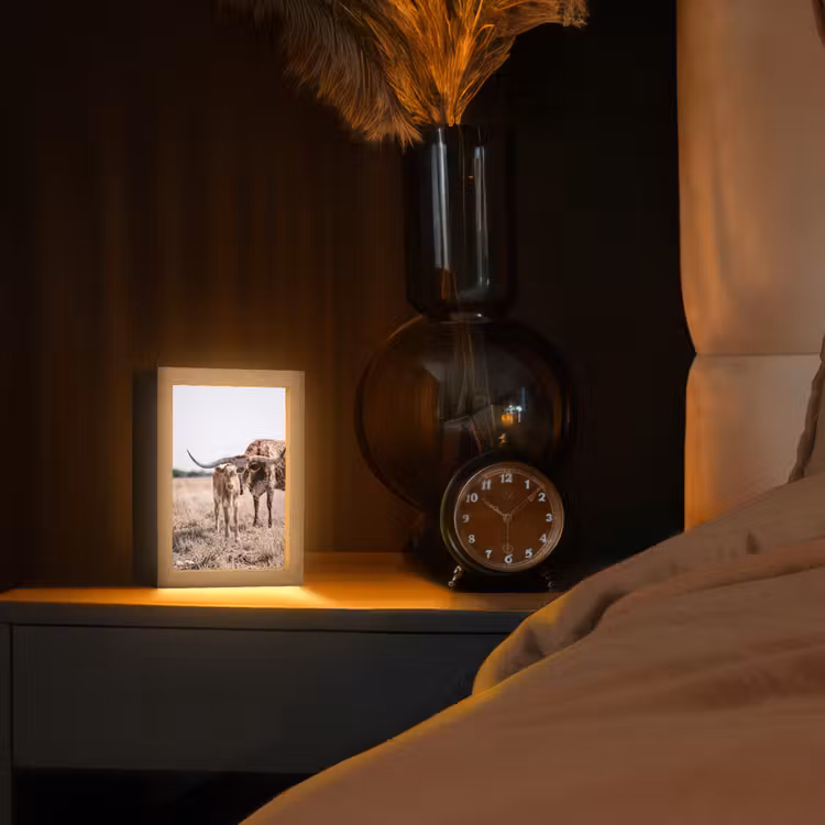 Texas Longhorn - Kalf - Weide - Dieren Light Box met kabel (Tafellamp) klein -sfeer1