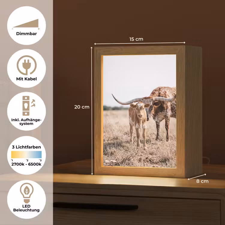 Texas Longhorn - Kalf - Weide - Dieren Light Box met kabel (Tafellamp) klein -USP_DE