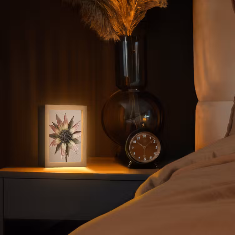 Droogbloem - Protea - Vintage - Beige - Rustiek Light Box met kabel (Tafellamp) klein -sfeer1