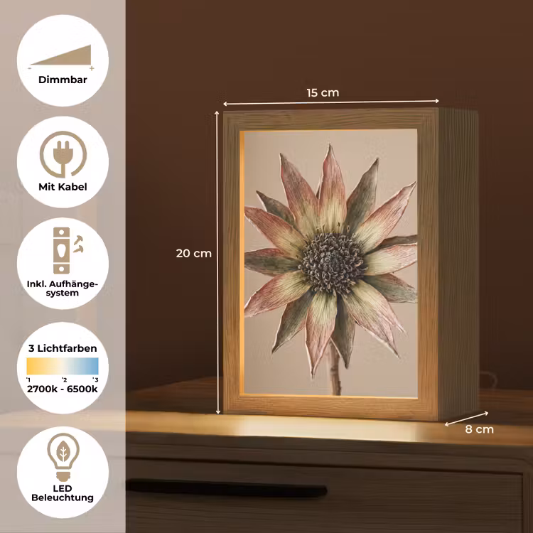 Droogbloem - Protea - Vintage - Beige - Rustiek Light Box met kabel (Tafellamp) klein -USP_DE