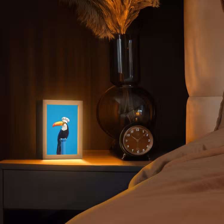 Tucan - Sokkel - Vogel - Koksmuts Light Box met kabel (Tafellamp) klein -sfeer1
