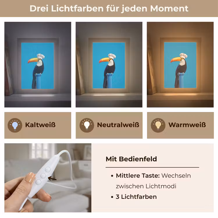 Tucan - Sokkel - Vogel - Koksmuts Light Box met kabel (Tafellamp) klein -USP_lichtkleurDE