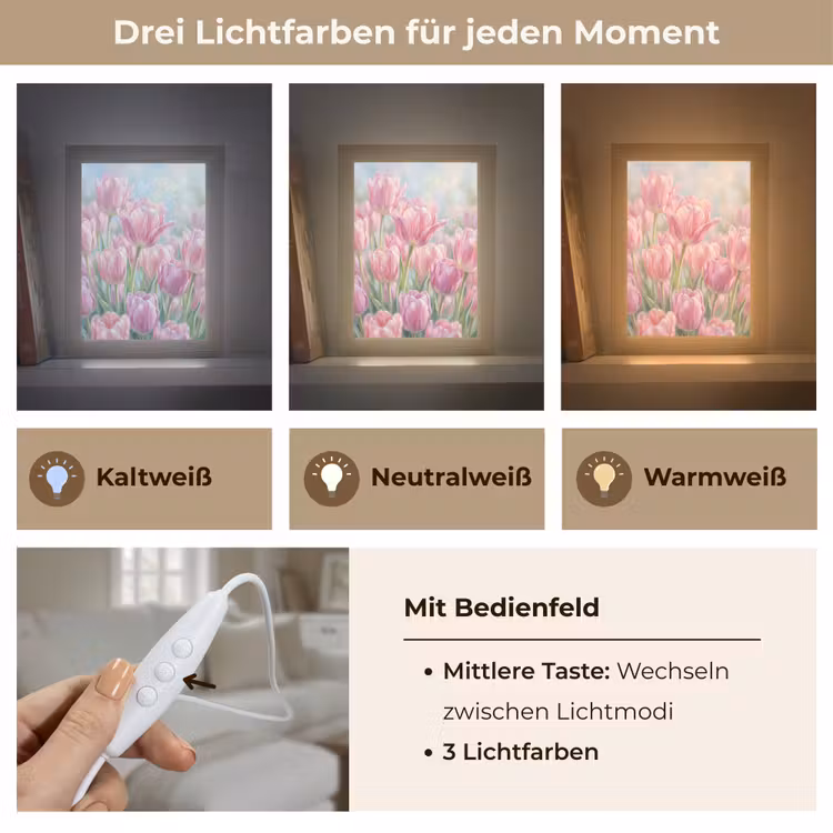 Tulpen - Veld - Lente - Roze Light Box met kabel (Tafellamp) klein -USP_lichtkleurDE