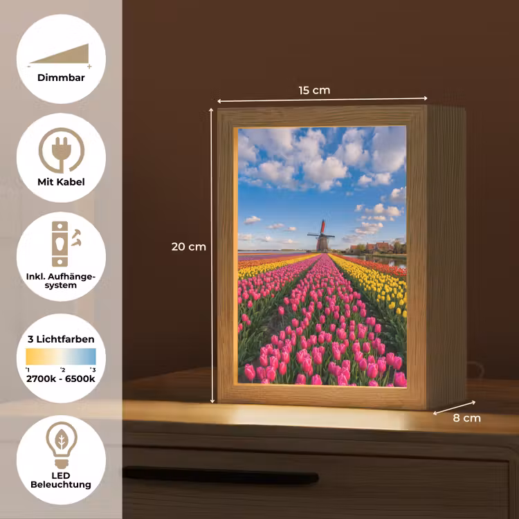 Tulpen - Holland - Molen - Kleurrijk Light Box met kabel (Tafellamp) klein -USP_DE