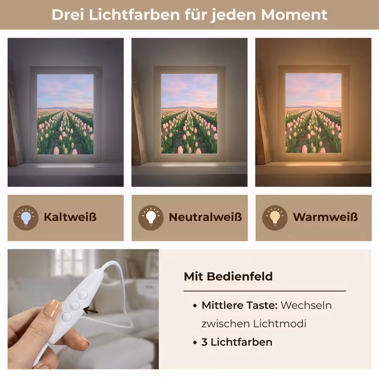 Tulpen - Landschap - Roze Light Box met kabel (Tafellamp) klein -USP_lichtkleurDE