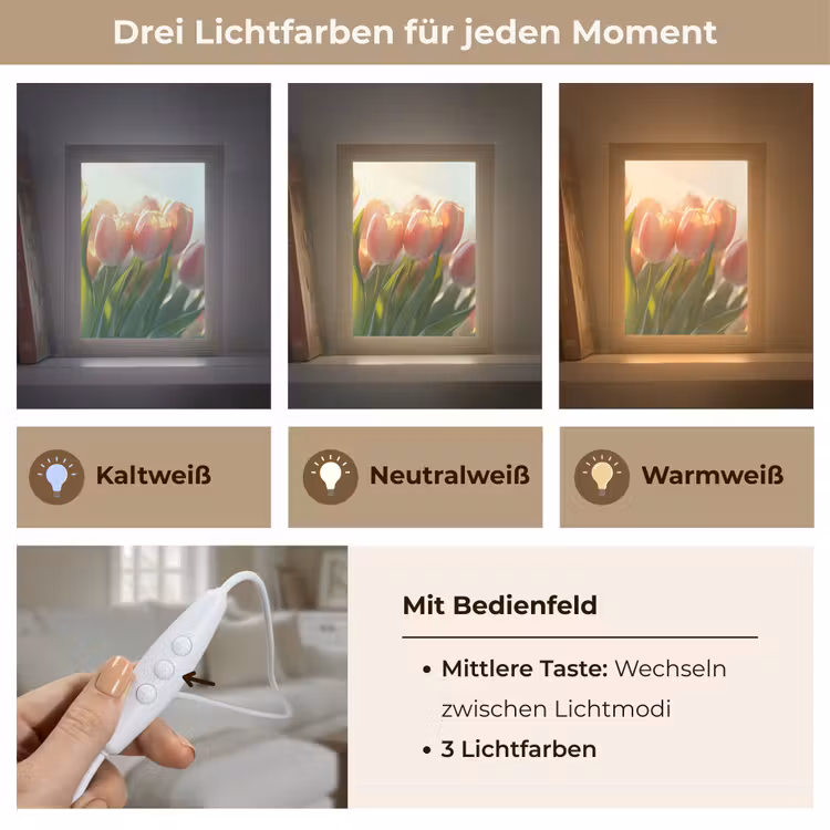 Tulpen - Roze - Zonnestralen Light Box met kabel (Tafellamp) klein -USP_lichtkleurDE