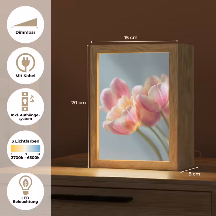 Tulpen - Roze - Stelen Light Box met kabel (Tafellamp) klein -USP_DE