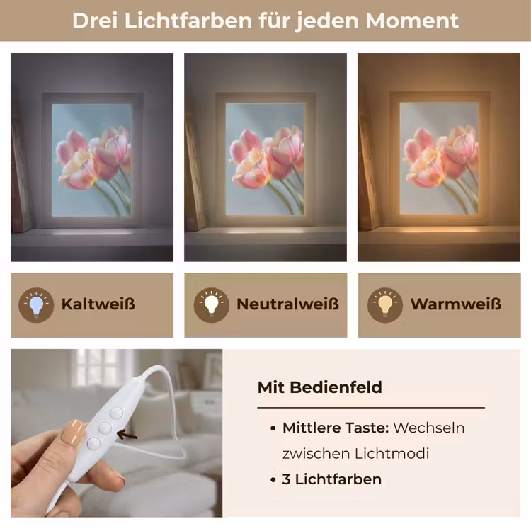 Tulpen - Roze - Stelen Light Box met kabel (Tafellamp) klein -USP_lichtkleurDE