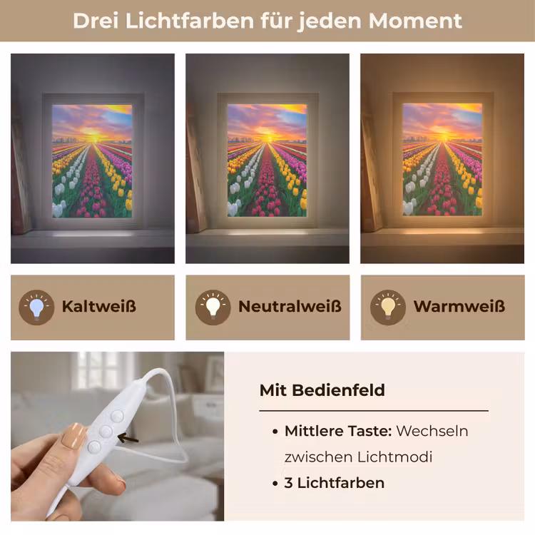 Tulpenveld - Zonsondergang - Kleurrijk Light Box met kabel (Tafellamp) klein -USP_lichtkleurDE
