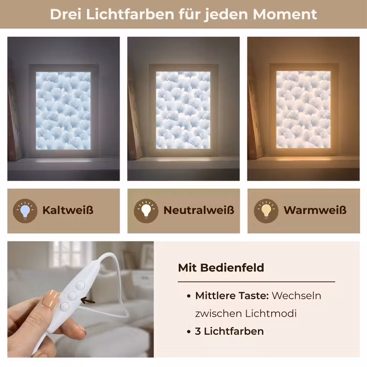 Waaier - Modern - Blauw Light Box met kabel (Tafellamp) klein 925 -USP_lichtkleurDE