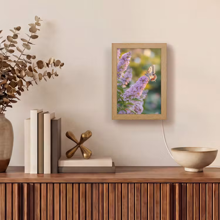 Sierlijke - Vlinder - Paarse - Bloemen Light Box met kabel (Tafellamp) klein -sfeer2