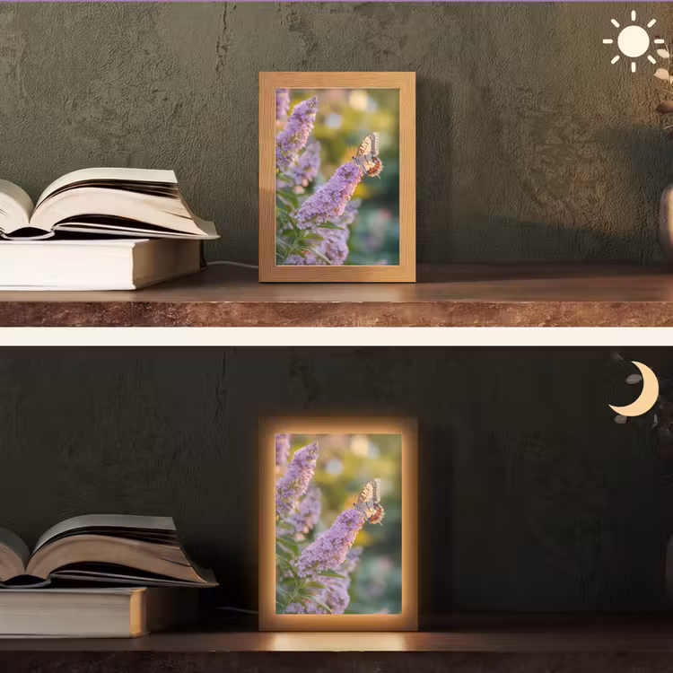 Sierlijke - Vlinder - Paarse - Bloemen Light Box met kabel (Tafellamp) klein -sfeer3