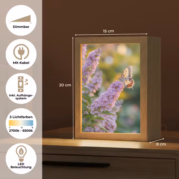 Sierlijke - Vlinder - Paarse - Bloemen Light Box met kabel (Tafellamp) klein -USP_DE