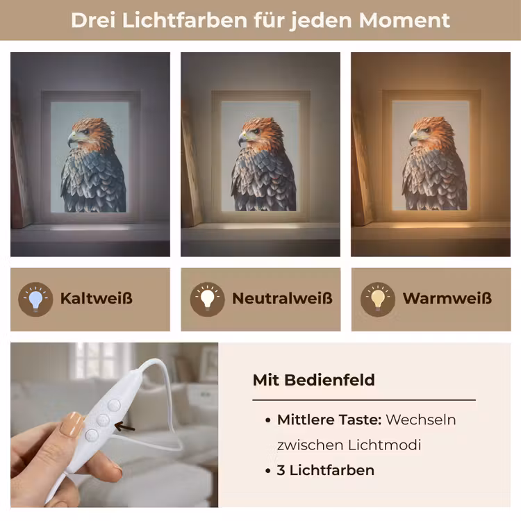 Vogel - Realistisch - Veren - Bruin Light Box met kabel (Tafellamp) klein -USP_lichtkleurDE