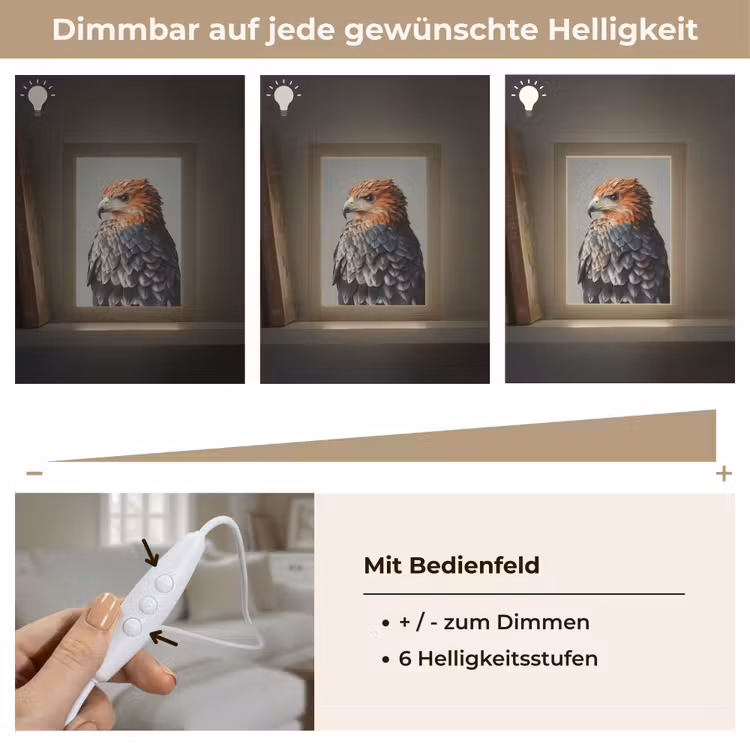 Vogel - Realistisch - Veren - Bruin Light Box met kabel (Tafellamp) klein -USP_dimbaarDE