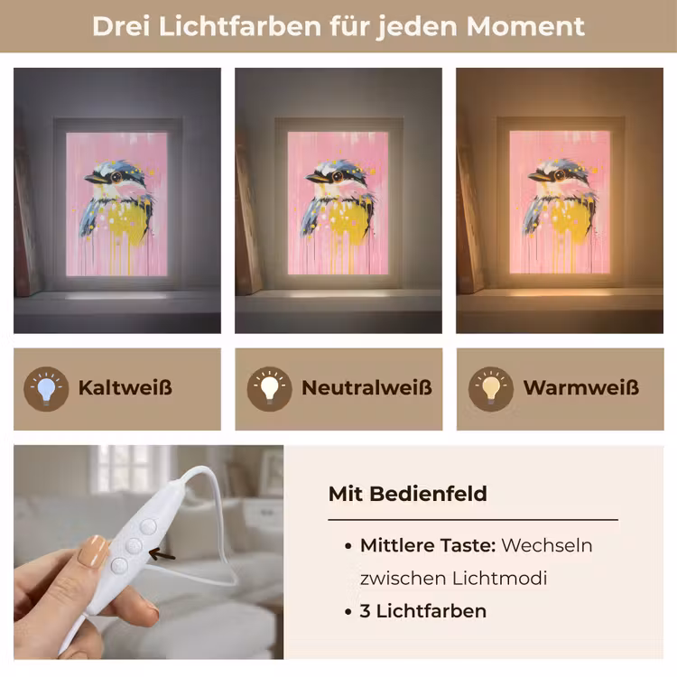 Vogel - Roze - Geel - Blauw Light Box met kabel (Tafellamp) klein -USP_lichtkleurDE