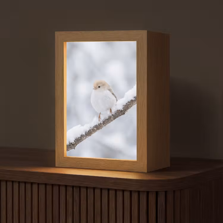 Vogeltje - Sneeuw - Tak - Winter - Zacht Light Box met kabel (Tafellamp) klein -z3d_website