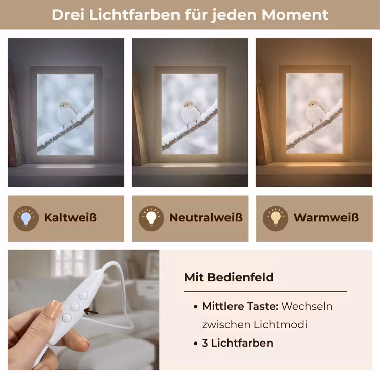 Vogeltje - Sneeuw - Tak - Winter - Zacht Light Box met kabel (Tafellamp) klein -USP_lichtkleurDE