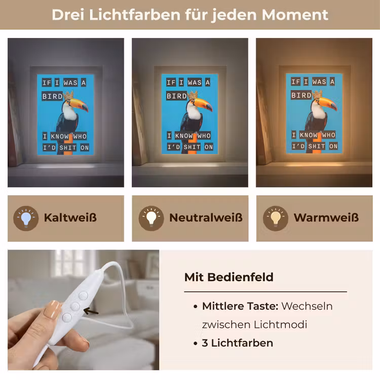 Vogel - Toekan - Blauw - Quotes Light Box met kabel (Tafellamp) klein -USP_lichtkleurDE