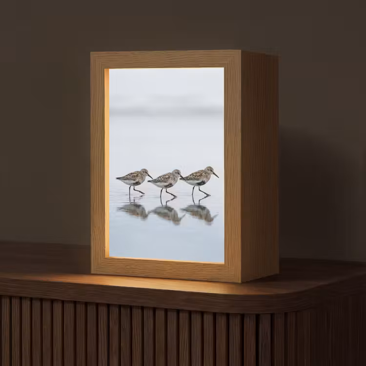 Vogels - Water - Grijs Light Box met kabel (Tafellamp) klein -z3d_website