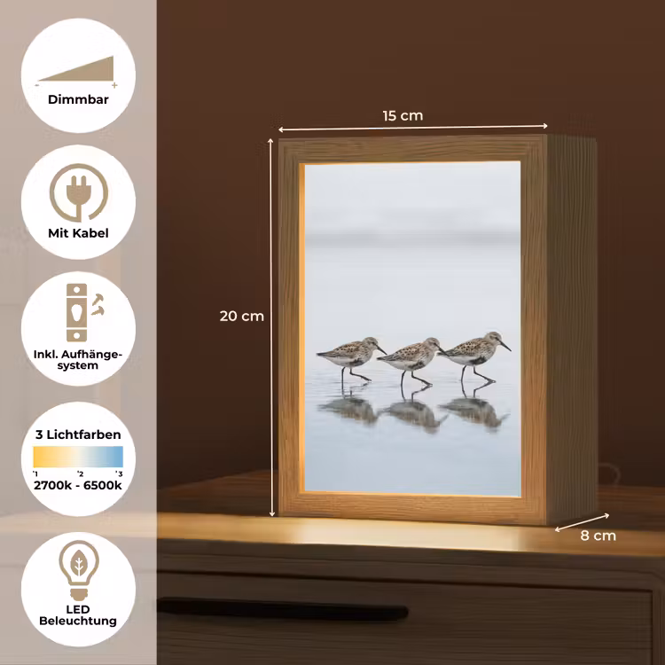 Vogels - Water - Grijs Light Box met kabel (Tafellamp) klein -USP_DE