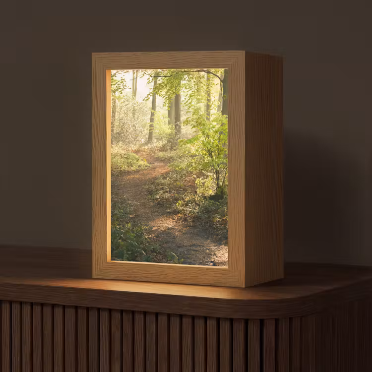 Bos - Bomen - Pad - Zon - Planten - Bladeren - Natuur Light Box met kabel (Tafellamp) klein -z3d_website