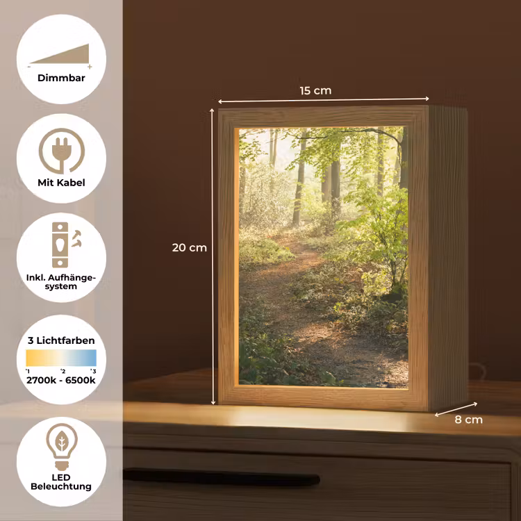 Bos - Bomen - Pad - Zon - Planten - Bladeren - Natuur Light Box met kabel (Tafellamp) klein -USP_DE