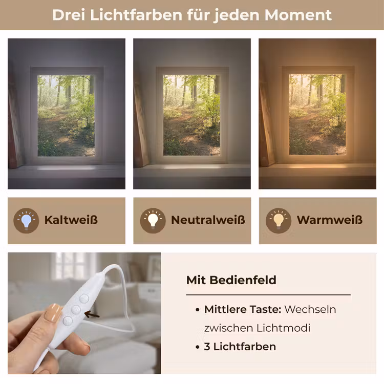 Bos - Bomen - Pad - Zon - Planten - Bladeren - Natuur Light Box met kabel (Tafellamp) klein -USP_lichtkleurDE