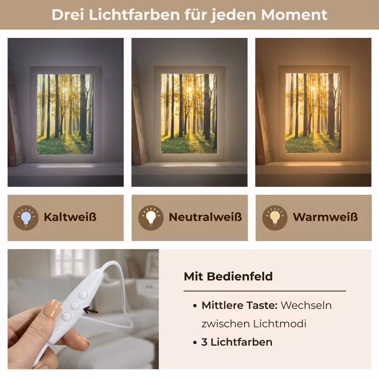 Bos - Zon - Bomen - Gras - Landschap - Natuur Light Box met kabel (Tafellamp) klein -USP_lichtkleurDE