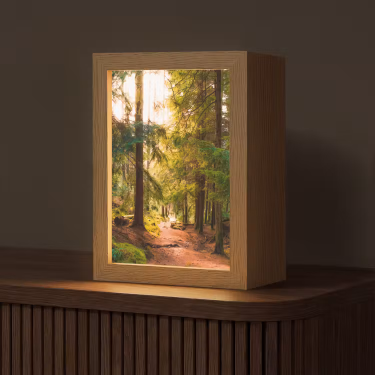 Bos - Pad - Bomen - Groen - Zon - Natuur Light Box met kabel (Tafellamp) klein -z3d_website