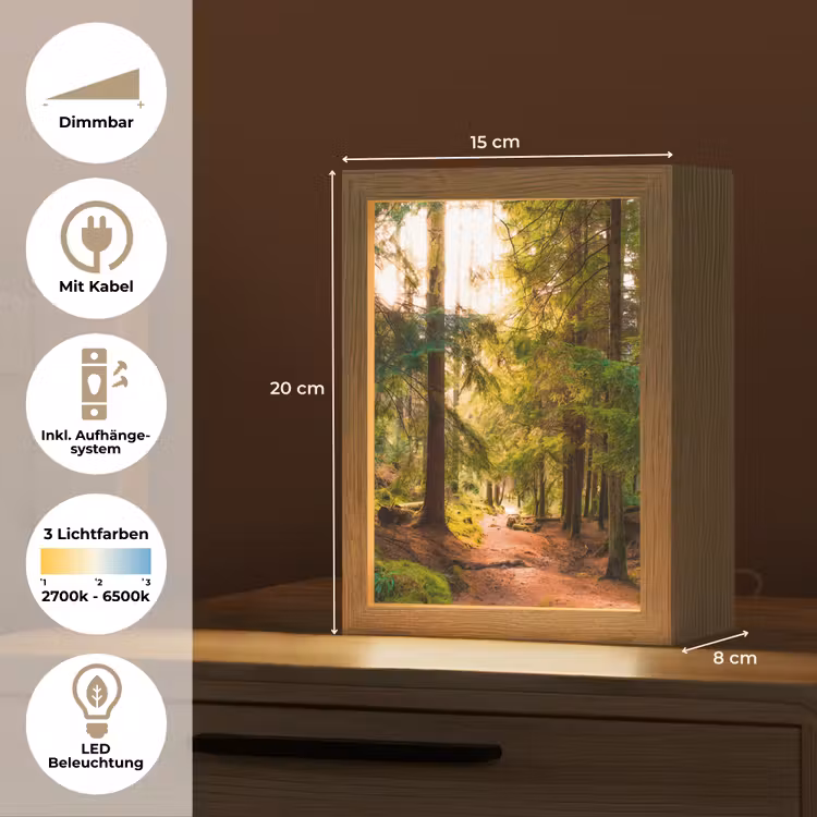 Bos - Pad - Bomen - Groen - Zon - Natuur Light Box met kabel (Tafellamp) klein -USP_DE