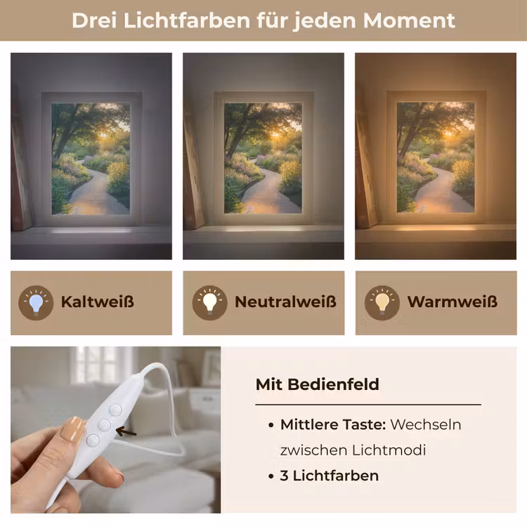 Pad - Bloemen - Park Light Box met kabel (Tafellamp) klein -USP_lichtkleurDE