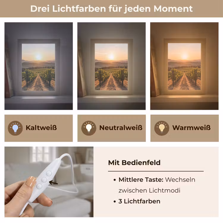 Wijngaard - Zonsondergang - Landschap Light Box met kabel (Tafellamp) klein -USP_lichtkleurDE