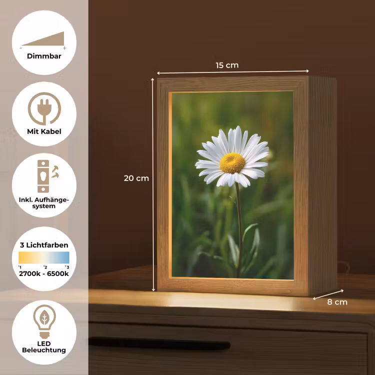 Wit - Madeliefje - Bloem - Gras Light Box met kabel (Tafellamp) klein -USP_DE