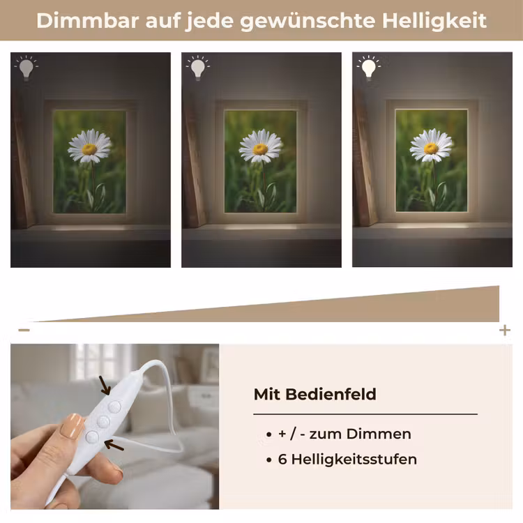 Wit - Madeliefje - Bloem - Gras Light Box met kabel (Tafellamp) klein -USP_dimbaarDE