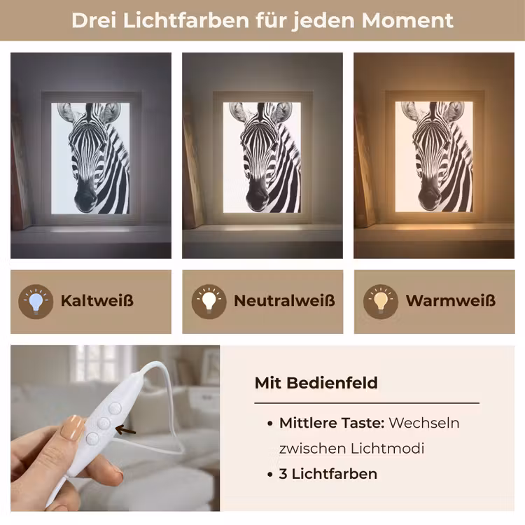 Zebra - Close-up - Zwart - Strepen Light Box met kabel (Tafellamp) klein -USP_lichtkleurDE