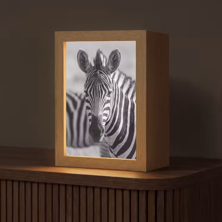 Zebra's - Zwart - Wit Light Box met kabel (Tafellamp) klein -z3d_website