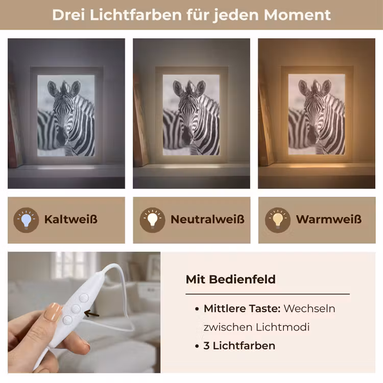 Zebra's - Zwart - Wit Light Box met kabel (Tafellamp) klein -USP_lichtkleurDE