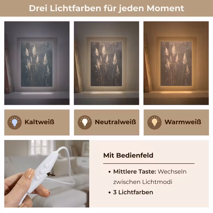 Siergras - Pluimen - Verlichting - Zwart Light Box met kabel (Tafellamp) klein -USP_lichtkleurDE
