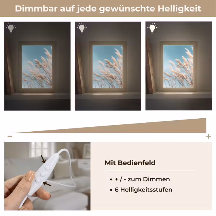 Siergras - Wind - Lichtbruin Light Box met kabel (Tafellamp) klein -USP_dimbaarDE