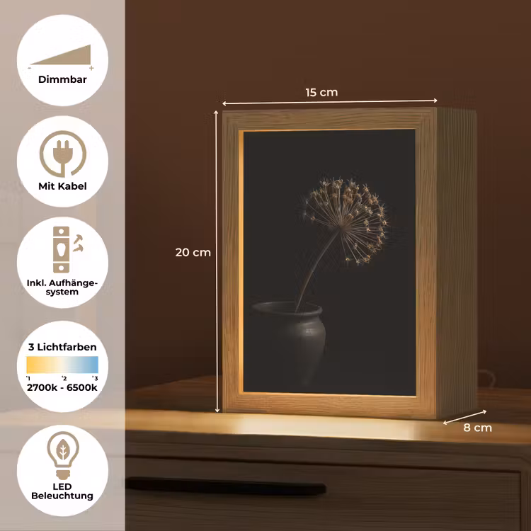 Bol - Gedroogd - Vaas - Zwart Light Box met kabel (Tafellamp) klein -USP_DE
