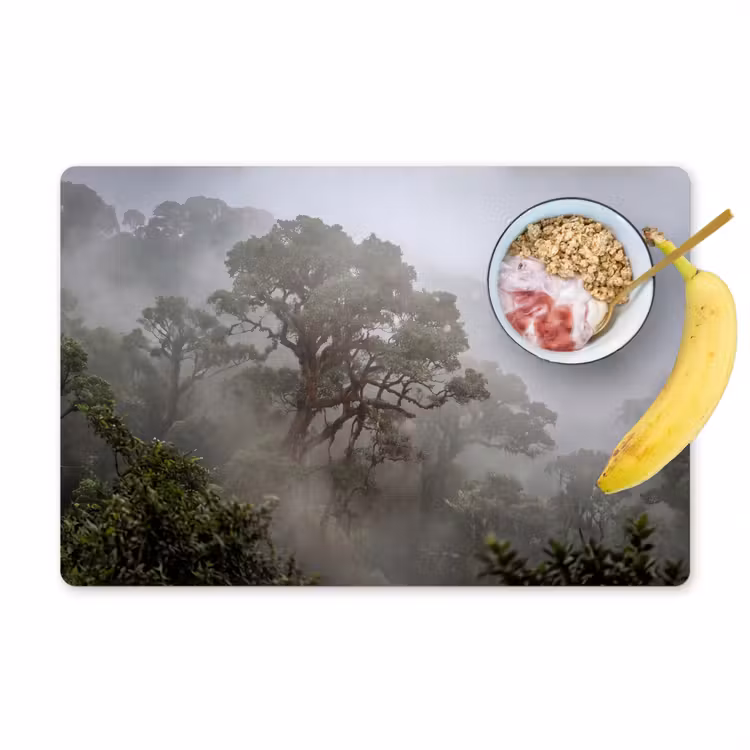 Boom - Mistig - Bos - Groen - Natuur Placemat vinyl groot -zzzproduct_Kitchenyeah-website