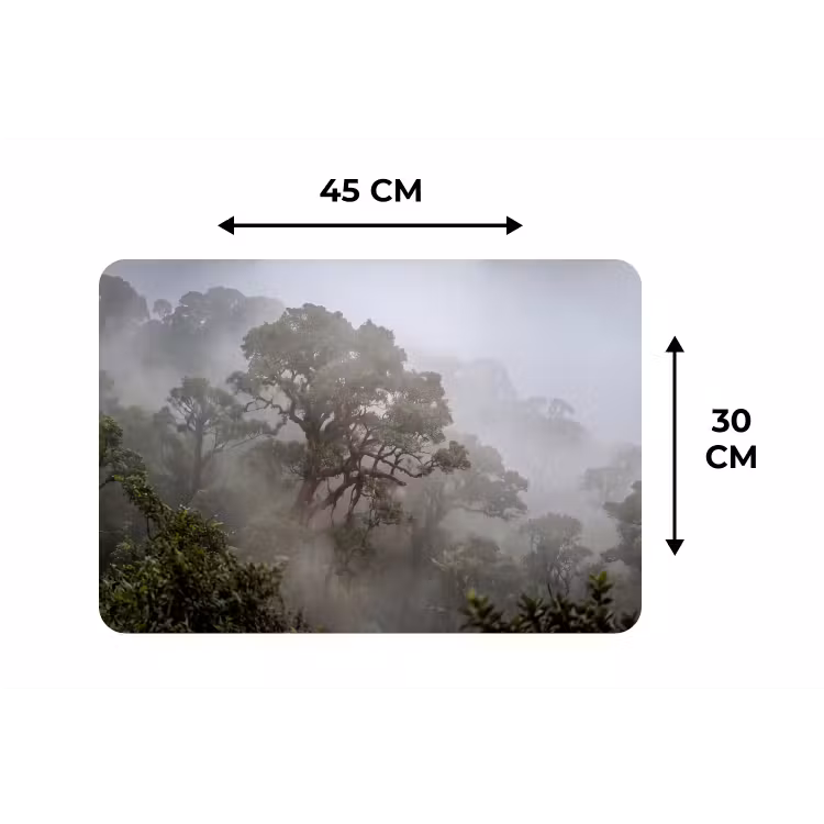 Boom - Mistig - Bos - Groen - Natuur Placemat vinyl groot -specs